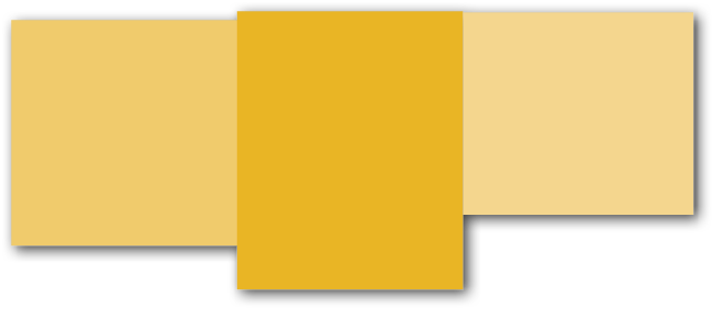 Group